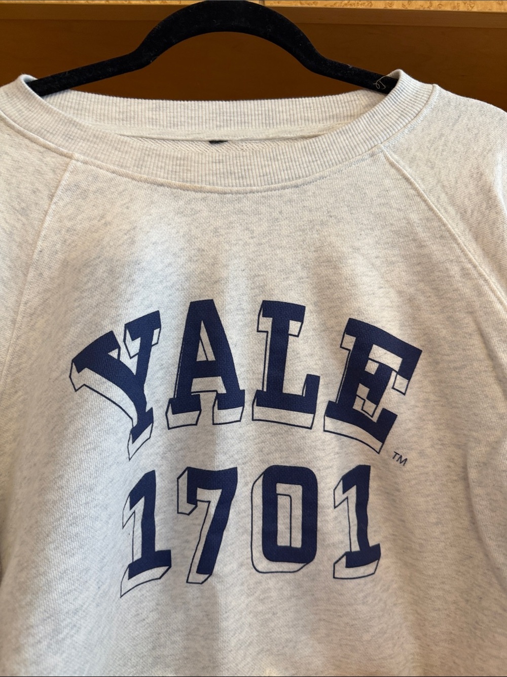 Yale 1701 Crewneck Sweatshirt in Heather Gray with Navy Print